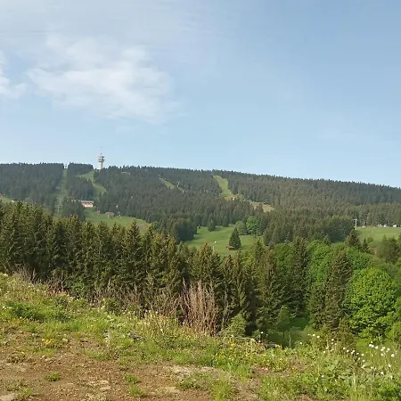Ve Vejprtech