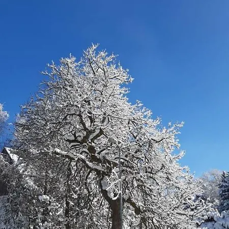 Ve Vejprtech *