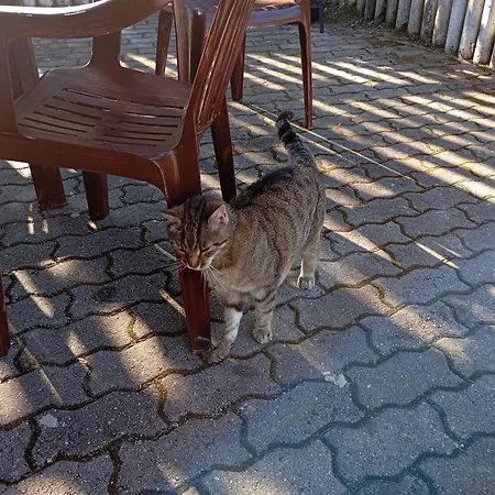 Ve Vejprtech Vejprty