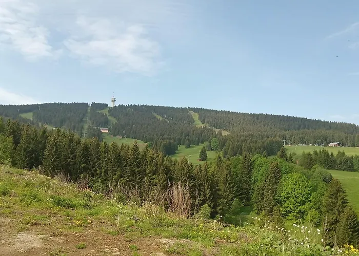 Ve Vejprtech