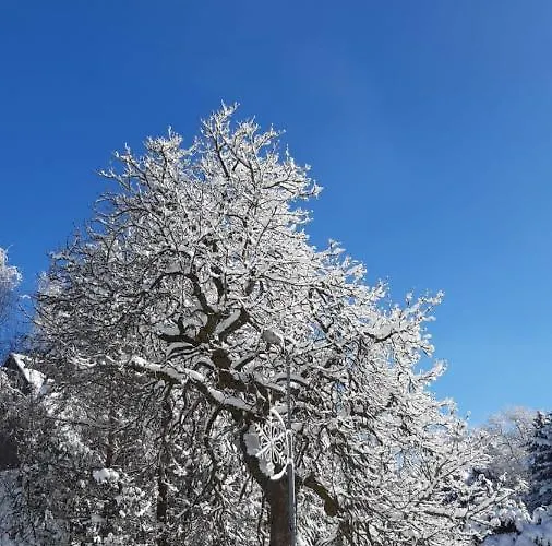 Ve Vejprtech *
